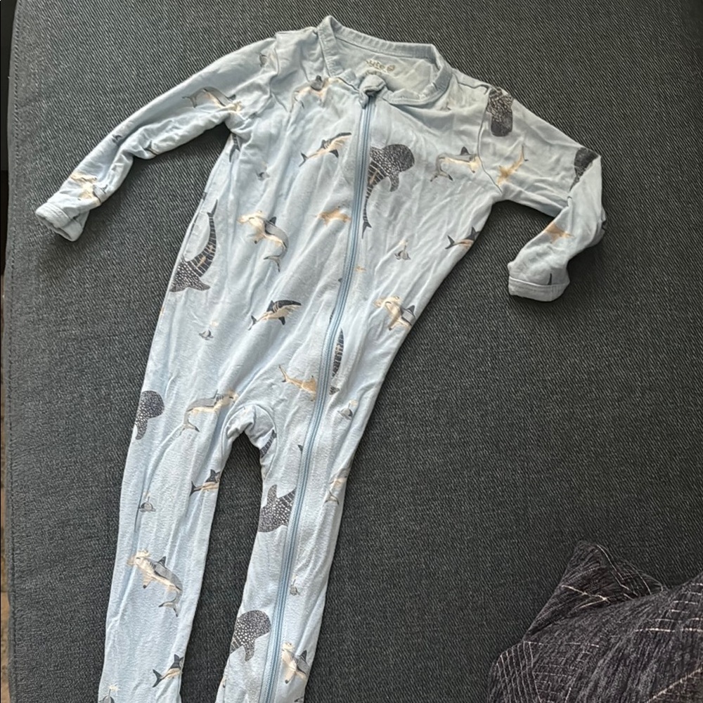 Kyte baby shark